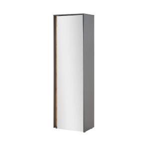 CITY Garderobenschrank  29 Front/Korpus in Anthrazit Applikation Wotan Eiche Dekor Maße 60/200/40 cm