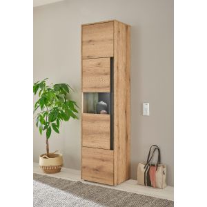  CITY Vitrine 24 Maße 50/197/40 cm Front/Korpus Evoke Applikation Anthrazit Eiche Dekor