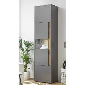  CITY Vitrine 24 Maße 50/197/40 cm Front/Korpus Anthrazit Applikation Wotan Eiche Dekor