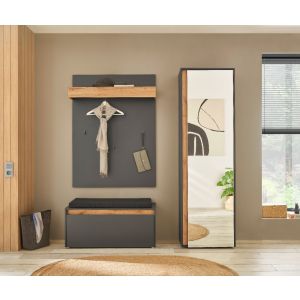 CITY Garderobe G2  Front/Korpus in Anthrazit Applikation Wotan Eiche Dekor 3 teilig