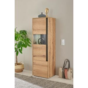 CITY Vitrine 27 Maße 50/155/40 cm  Front/Korpus Evoke Applikation Anthrazit Eiche Dekor